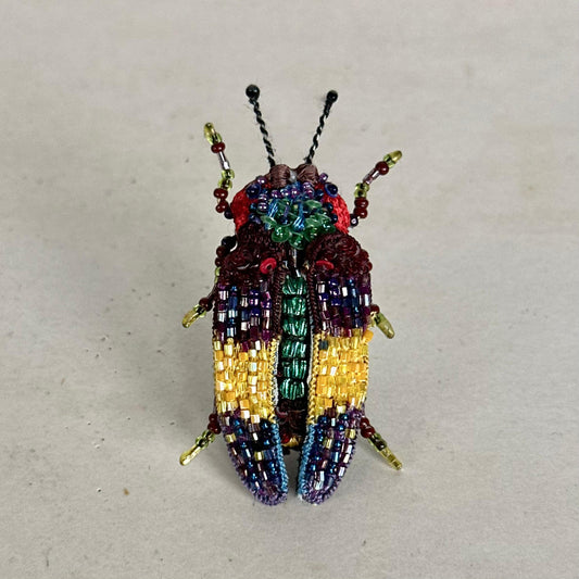 Broche Escarabajo N2